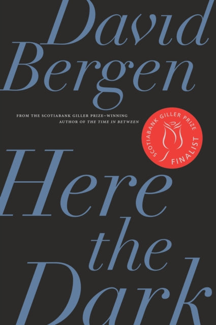 Book cover of: Here the Dark. By: David Bergen
