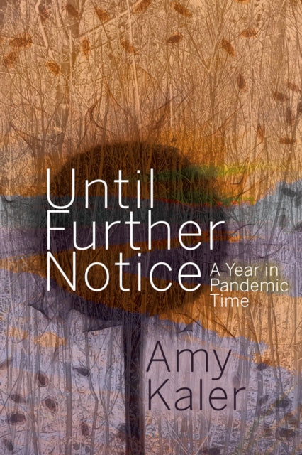 Book cover of: Until Further Notice. By: Amy Kaler