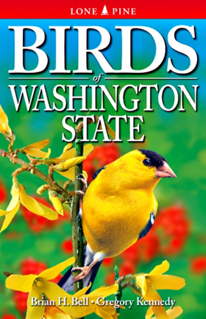 Book cover of: Birds of Washington State. By: Brian H. Bell
