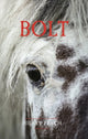 Book cover of: Bolt. By: Hilary Peach