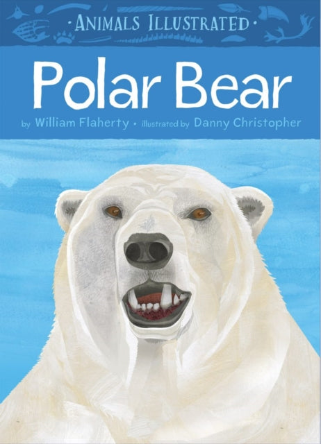 Book cover of: Animals Illustrated: Polar Bear. By: Danny Christopher