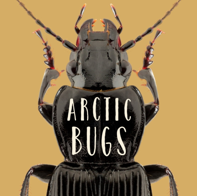 Book cover of: Arctic Bugs. By: Inhabit Education