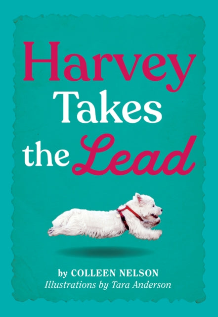 Book cover of: Harvey Takes the Lead. By: Colleen Nelson