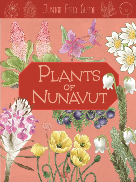 Book cover of: Junior Field Guide: Plants of Nunavut. By: Carolyn Mallory