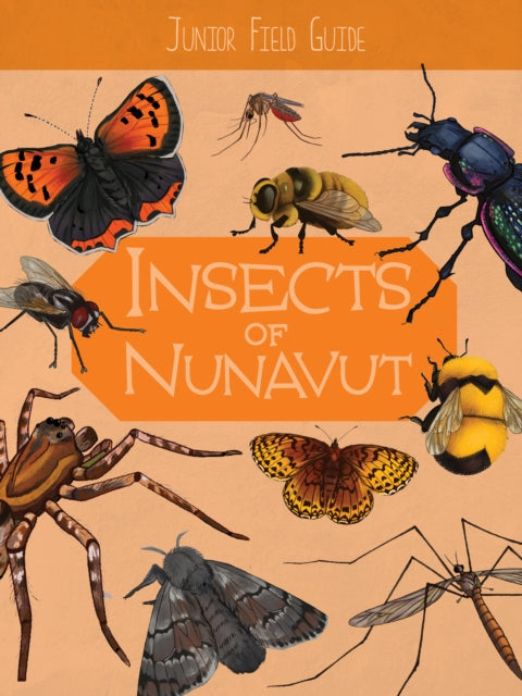 Book cover of: Junior Field Guide: Insects of Nunavut. By: Jordan Hoffman