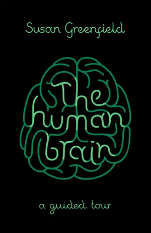 Human Brain