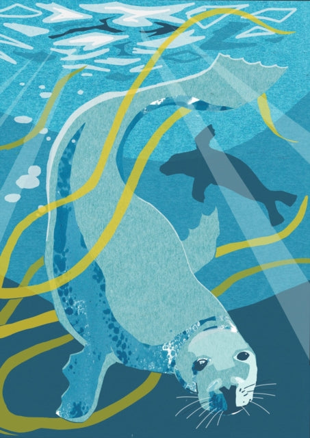 Nature Notebook: Seal 9781780278216 Jane Smith