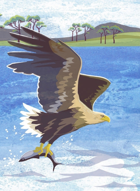 Book cover of: Nature Notebook: Sea Eagle. By: Jane Smith