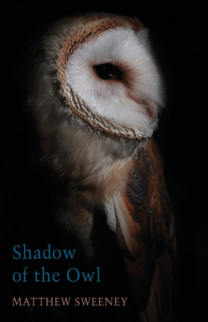 Book cover of: Shadow of the Owl. By: Matthew Sweeney