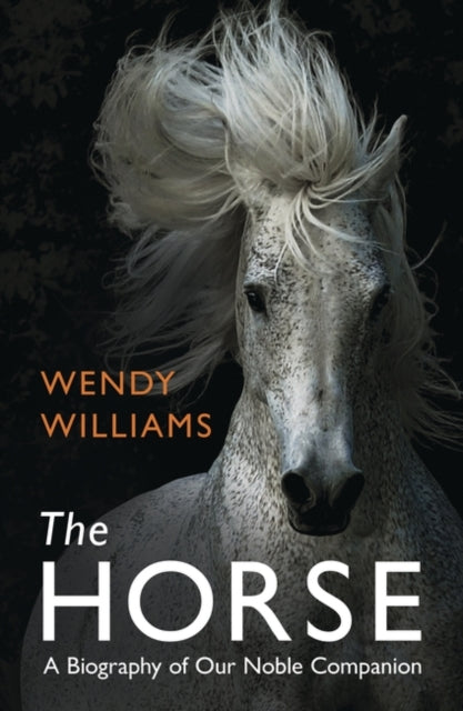 Book cover of: The Horse