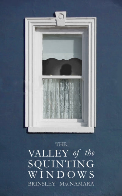 Book cover of: Valley of the Squinting Windows. By: Brinsley McNamara