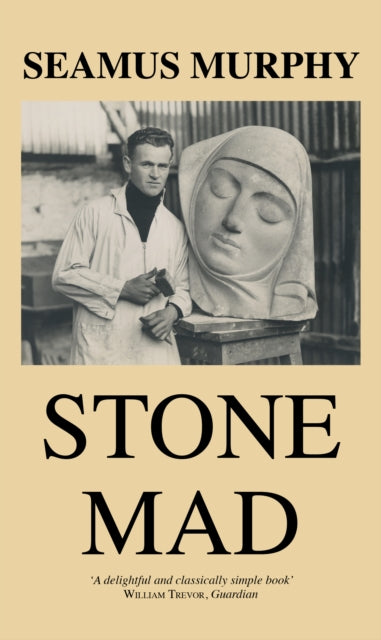 Book cover of: Stone Mad
