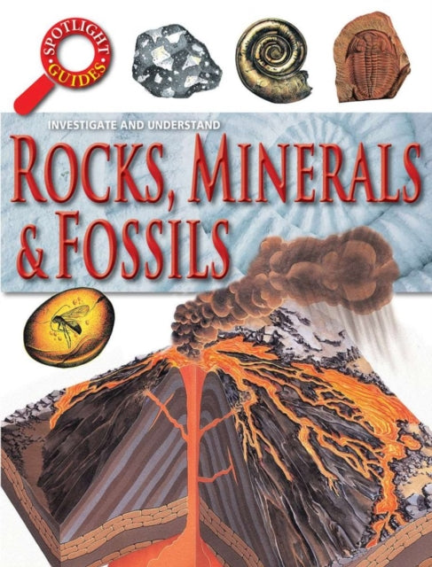 Book cover of: Rocks Minerals and Fossils