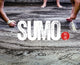 Book cover of: Sumo. By: David Lord K2 Sharabani
