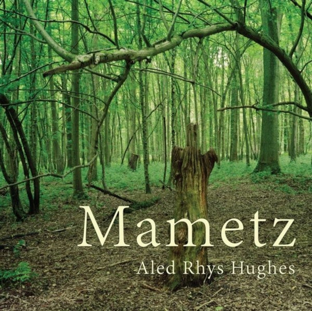 Book cover of: Mametz. By: Aled Rhys Hughes