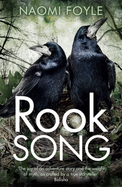 Book cover of: Rook Song. By: Foyle, Naomi