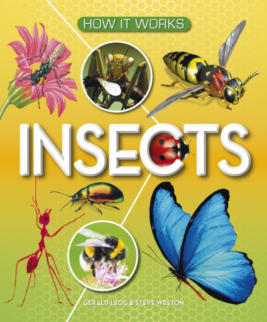 Book cover of: How It Works: Insects. By: AWARD