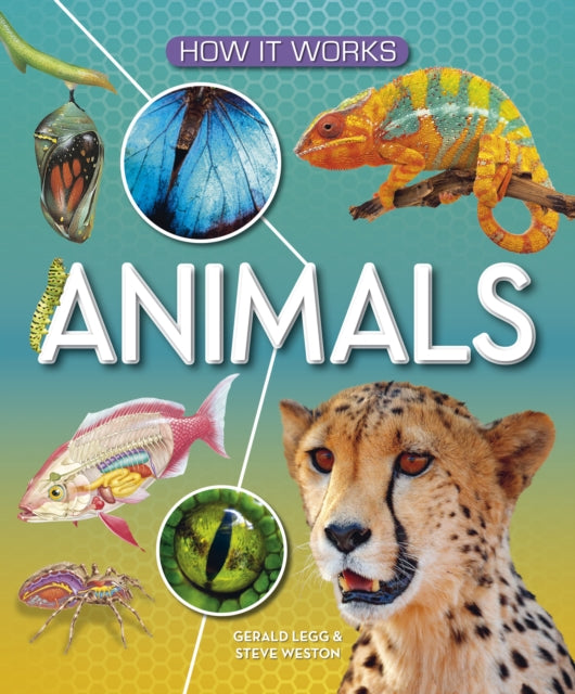 Book cover of: How It Works: Animals. By: AWARD