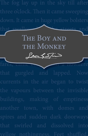 Boy and the Monkey
