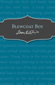 Book cover of: Blewcoat Boy. By: Leon Garfield