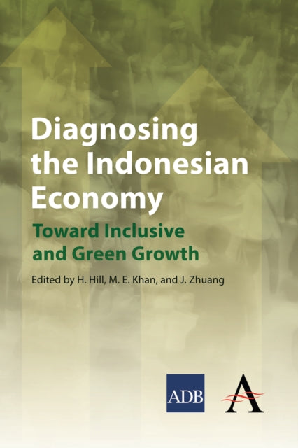 Book cover of: Diagnosing the Indonesian Economy. By: Hal Hill