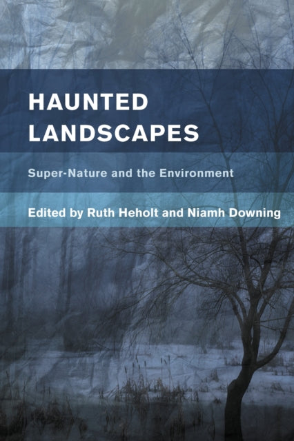 Book cover of: Haunted Landscapes. By: Niamh Downing