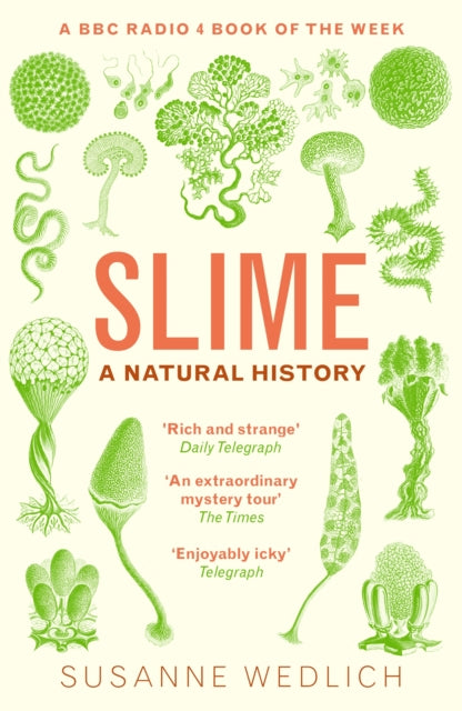 Book cover of: Slime. By: Susanne Wedlich