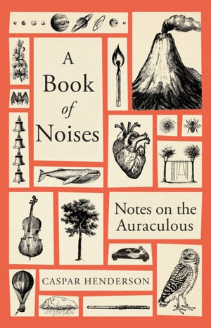Book of Noises, Notes on the Auraculous