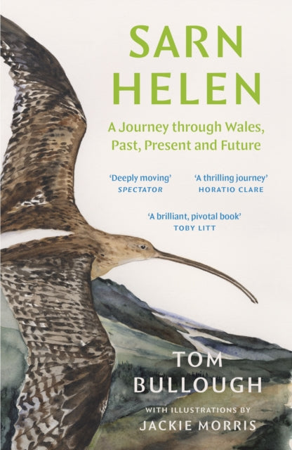 Sarn Helen, A Journey Through Wales, Past, Present and Future 9781783788118 Tom Bullough