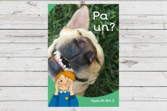 Book cover of: Dyna Chi Dric: Pa Un?