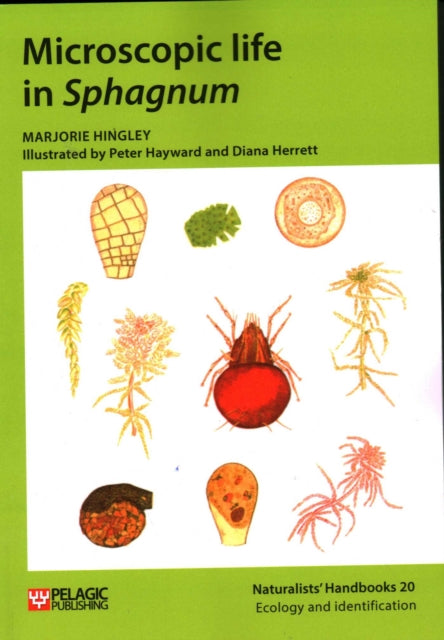 Book cover of: Microscopic life in Sphagnum. By: Marjorie Hingley