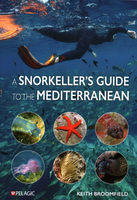 Book cover of: Snorkeller’s Guide to the Mediterranean. By: BROOMFIELD