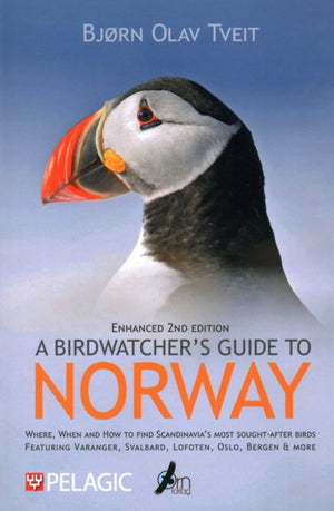 Birdwatcher’s Guide to Norway, Where, when and how to find Scandinavia’s most sought-after birds