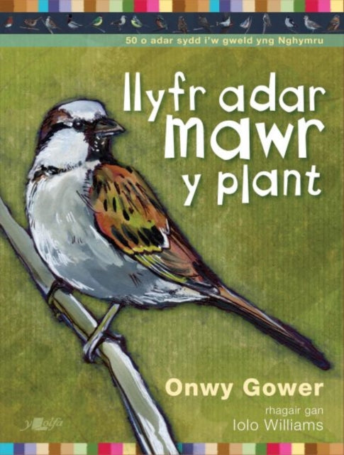 Book cover of: Llyfr Adar Mawr y Plant. By: Onwy Gower