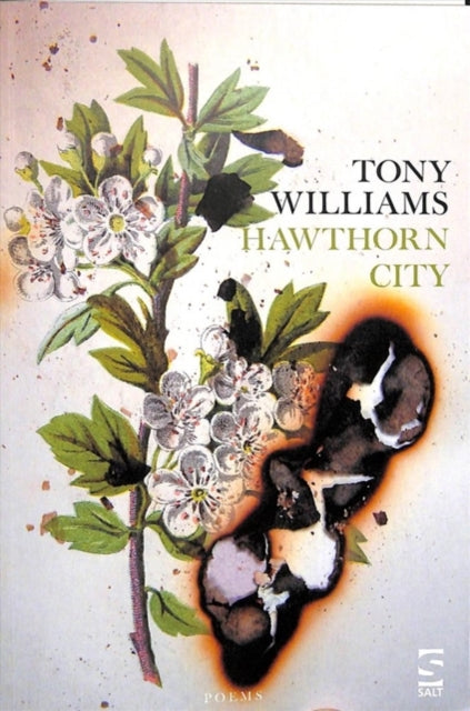 Book cover of: Hawthorn City