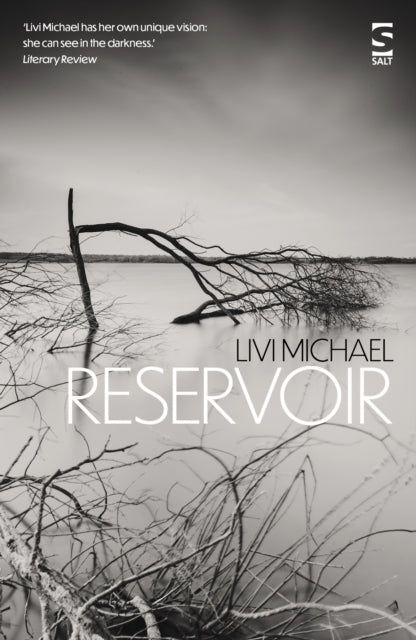 Book cover of: Reservoir. By: Livi Michael