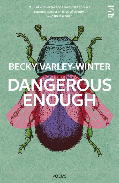 Book cover of: Dangerous Enough. By: Becky Varley-Winter