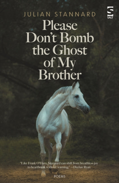 Book cover of: Please Don’t Bomb the Ghost of My Brother. By: Julian Stannard