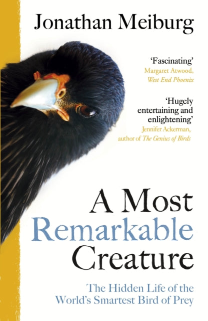 Book cover of: Most Remarkable Creature. By: Jonathan Meiburg