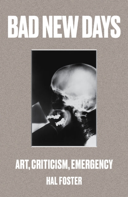 Book cover of: Bad New Days. By: Hal Foster