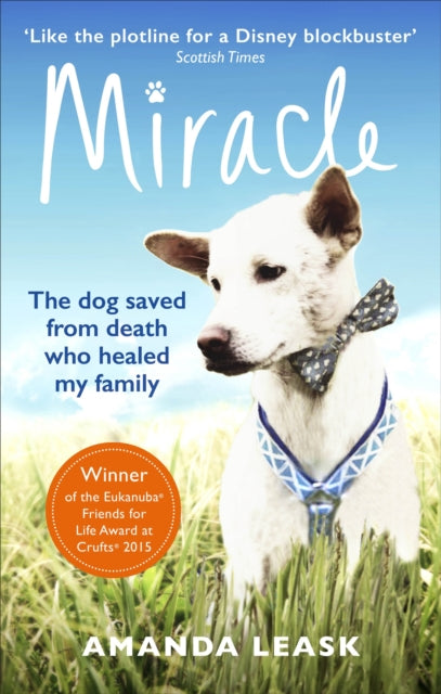 Book cover of: Miracle. By: Amanda Leask