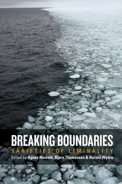 Book cover of: Breaking Boundaries. By: Agnes Horvath