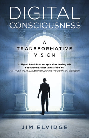 Digital Consciousness