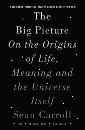 Big Picture, On the Origins of Life, Meaning, and the Universe Itself