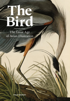 Bird, The Great Age of Avian Illustration