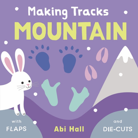 Book cover of: Mountain. By: Roxana De Rond