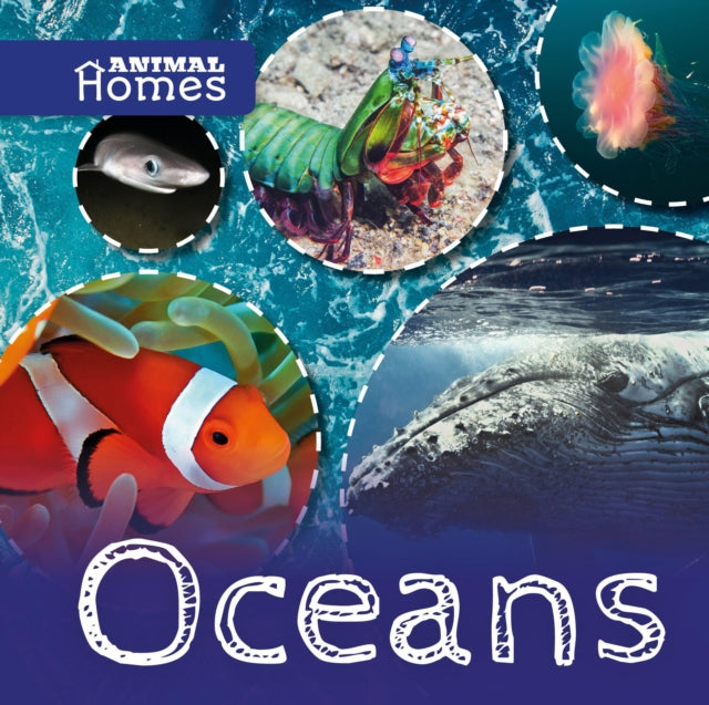 Book cover of: Oceans. By: Holly Duhig