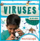 Book cover of: Viruses. By: Holly Duhig