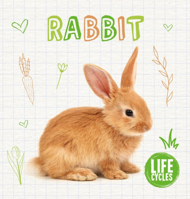 Book cover of: Rabbit. By: Shalini Vallepur