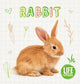 Book cover of: Rabbit. By: Shalini Vallepur